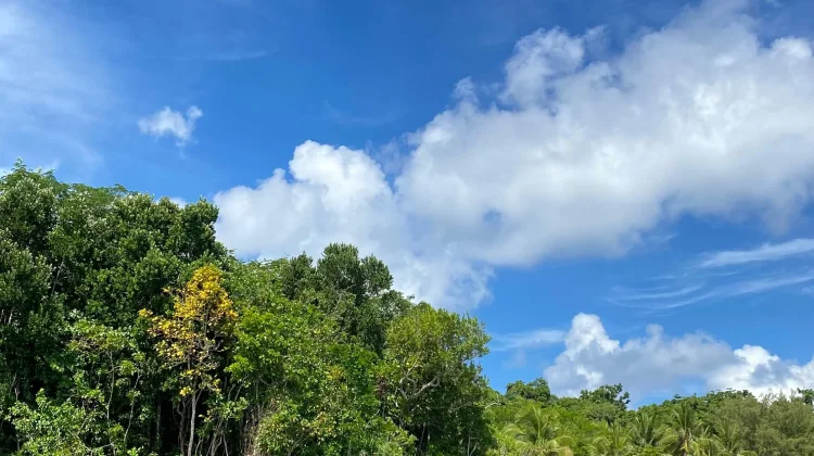 Pantai Ngurtawadan: Kepingan Surga di Maluku Tenggara