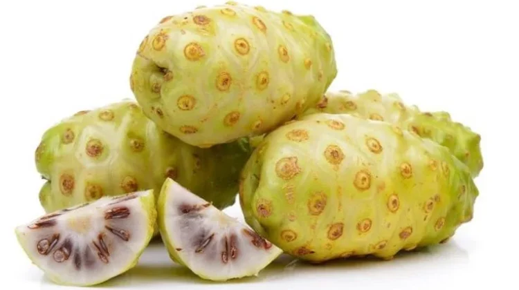 Apa Saja Khasiat Buah Mengkudu? Yuk Cari Tau Disini