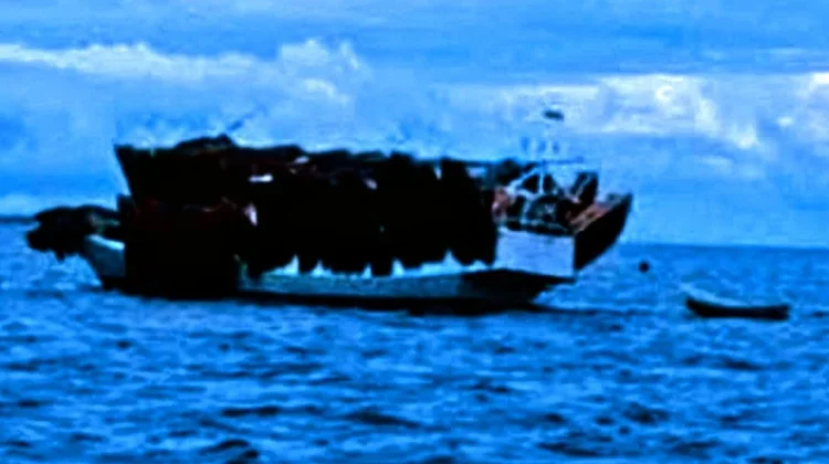 Ekploitasi Telur Ikan di Tanimbar Sarat Kepentingan