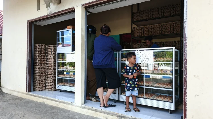 Harga Telur Turun, Pembelian Meningkat