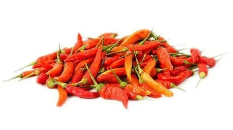 Mengapa Cabe Bisa Pedas?