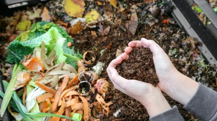 Yuk Membuat Pupuk Dari Sampah Rumah Tanggamu