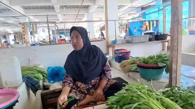 Panen Melimpah, Petani Sayur Desa Ohoitel Menjual dengan Harga Murah