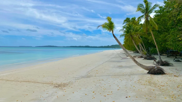 Menikmati Birunya Laut dan Lembutnya Pasir di Pantai Ngurbloat
