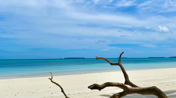 Asal Usul Pasir Putih di Pesisir Pantai