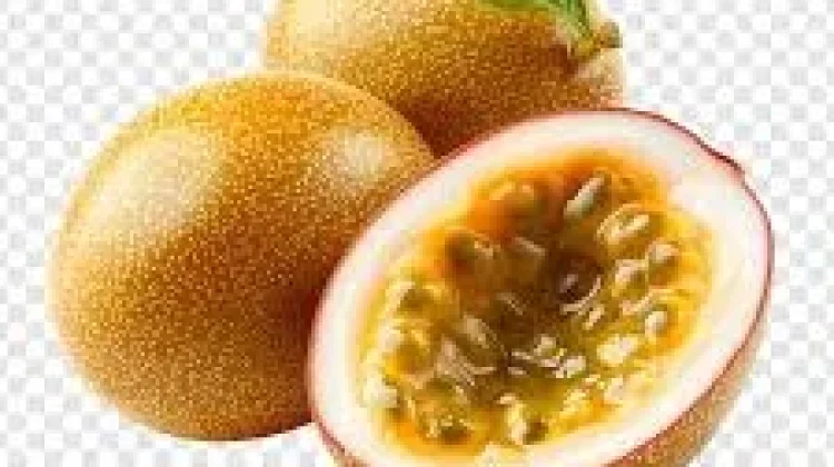 Markisa,tanaman buah ramah lingkungan dan sehat