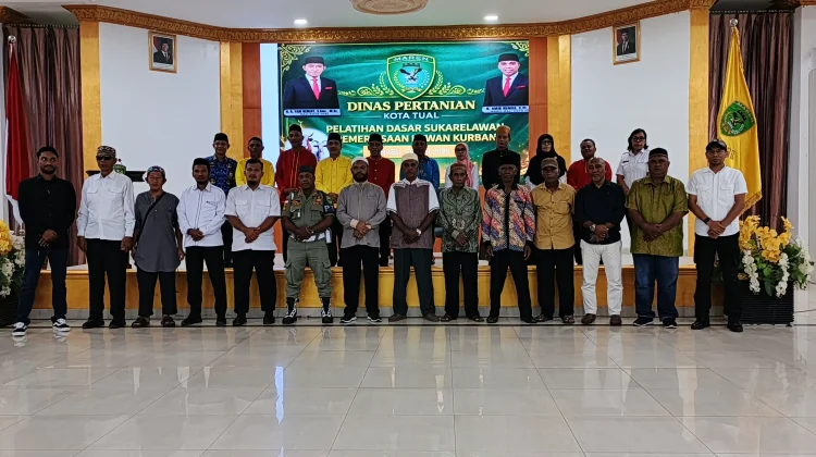Pemkot Tual Dorong Swasembada Protein Hewani