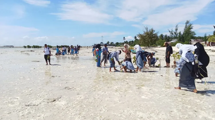 Peringati Harkitnas SMA Negeri 3 Kota Tual Tanam Mangrove