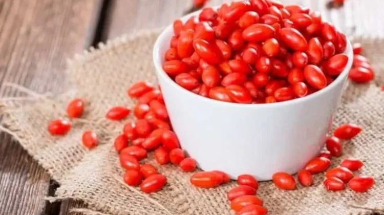 Mari Mengenal Buah Gojiberry dan Manfaatnya