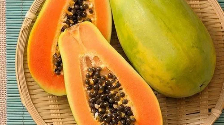 Pepaya, Buah Tropis Dengan Segudang Manfaat