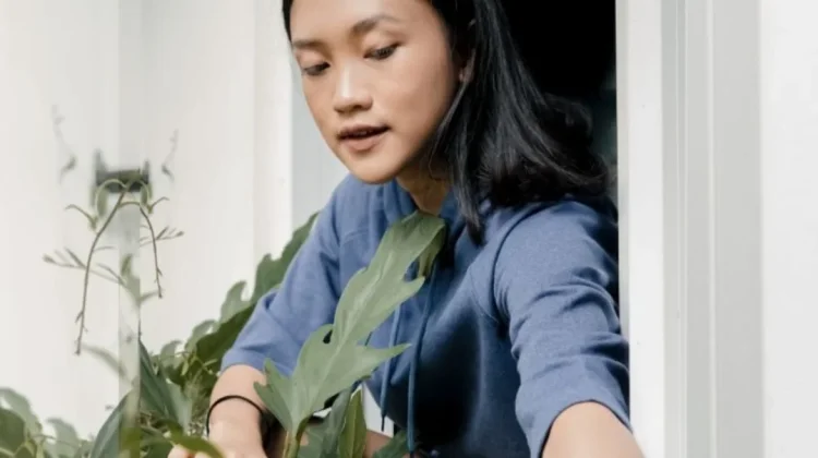 7 Cara Berkebun di Halaman Rumah yang Sempit