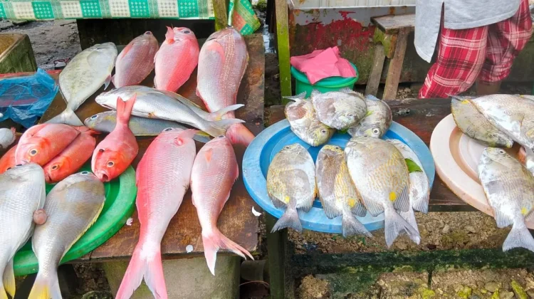 Cuaca Buruk, Pasokan Ikan Menyusut Harga Melambung Tinggi