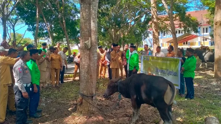 Pemkab Aru Serahkan 6 Hewan Kurban untuk Idul Adha 1447 H
