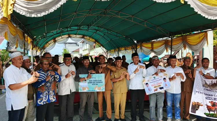 Panitia Kurban Masjid Al Hurriyah 45 Kota Tual, Terima 12 Ekor Sapi dan 15 Kambing