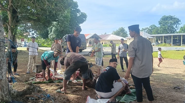 200 Mustahik Menerima Daging Qurban dari Polres Tual