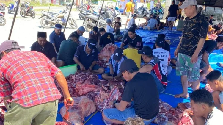 Idul Adha di MBD, 27 Hewan Kurban Dibagi untuk 750 Penerima