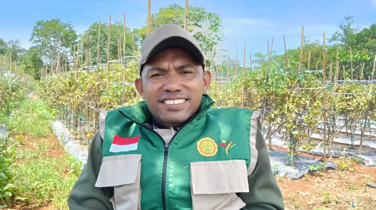 Petani Cabai Disiapkan Pasar untuk Menampung Hasil Panen