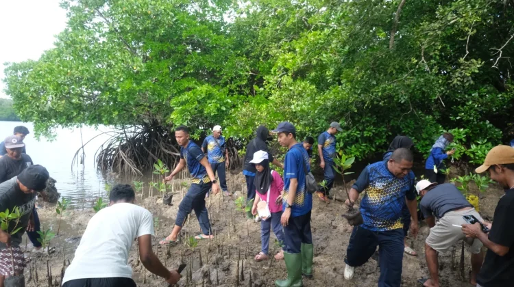 Bea Cukai Tual Laksanakan Penanaman Mangrove di Ohoi Dian Pulau