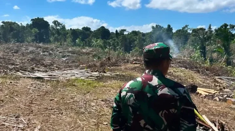 Dandim 1503/Tual Tinjau Marselin Area dan Pembersihan Lahan Yon TP