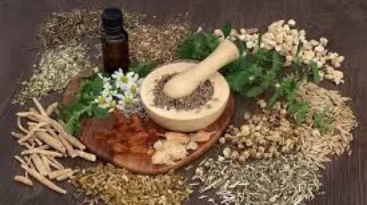 Minuman Herbal Kaya Manfaatnya, namun Batasi Konsumsi yang Berlebihan