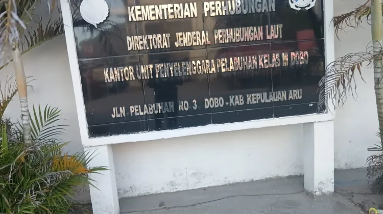 UPP Dobo Belum Dorong Operasional Pelabuhan Provinsi karena Regulasi
