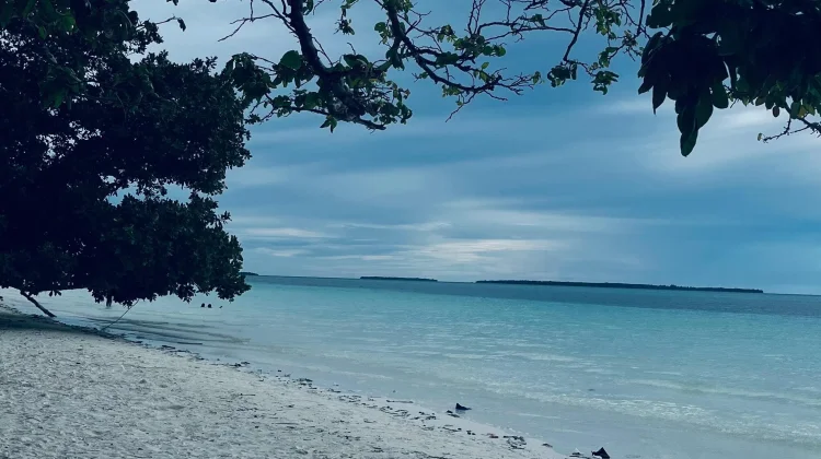 Pemudi Kei Soroti Pentingnya Pendampingan dalam Pengembangan Wisata Pesisir