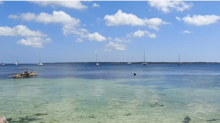 Bea Cukai Siap Layani Kedatangan 22 Yacht Sail to Indonesia 2026 di Kota Tual