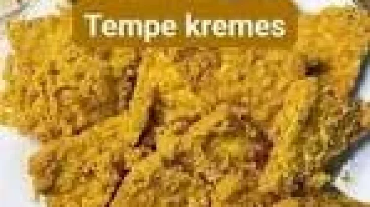 Menu makan siang murah dan sederhana,Tempe Kremes