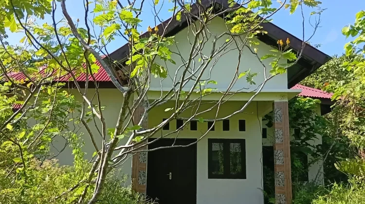 Warga Minta Pemda Aru Tinjau Kembali Pemanfaatan Balai Peternakan di Kilo 6