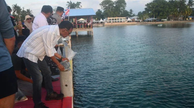 Walikota Tual Tabur Benih Teripang Dukung Sail Indonesia