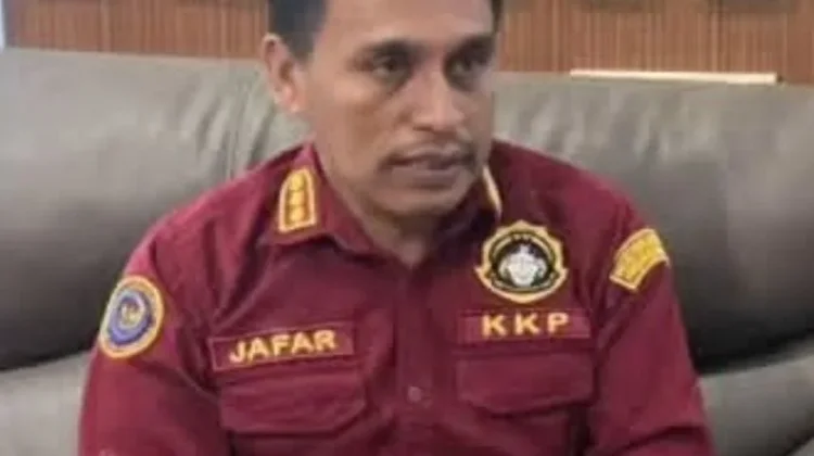 PPN Tual dan Pemda Maluku Tenggara, Koordinasi Pembangunan Sektor Maritim
