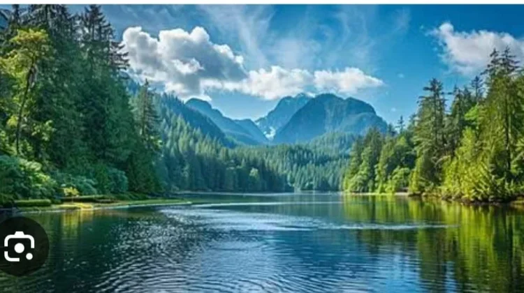 Hari Sungai Nasional