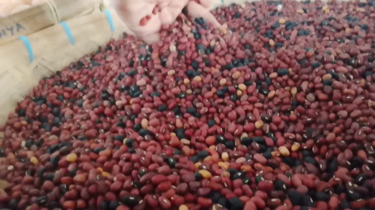 Keajaiban Nutrisi Kacang Merah bagi Kesehatan Tubuh