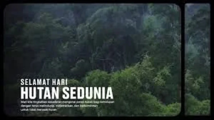 Sejarah Hari Penjaga Hutan Sedunia 31 Juli