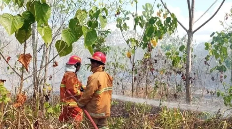 Meningkatnya Risiko Kebakaran Musim di Kemarau, Damkar Tual Tetap Siaga