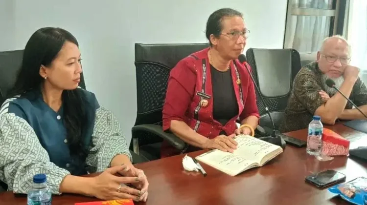Pemda Perluas Jaringan Pemasaran Tenun Ikat Tanimbar