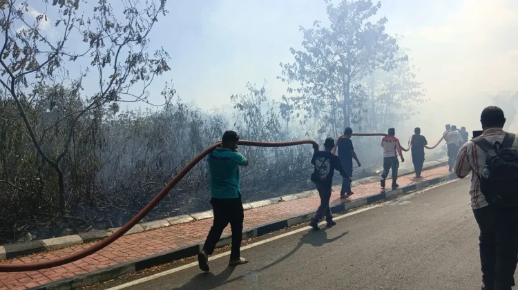 Kebakaran Lahan Terjadi di Jalan Pemda I Dobo, Kabel PLN Ikut Terbakar