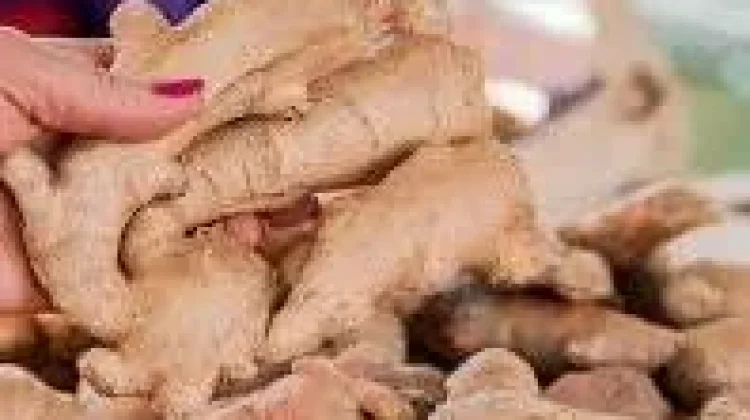 Jahe,Obat Herbal Mengatasi Panu