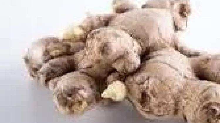 Lengkuas,Obat Tradisional Mengatasi Panu