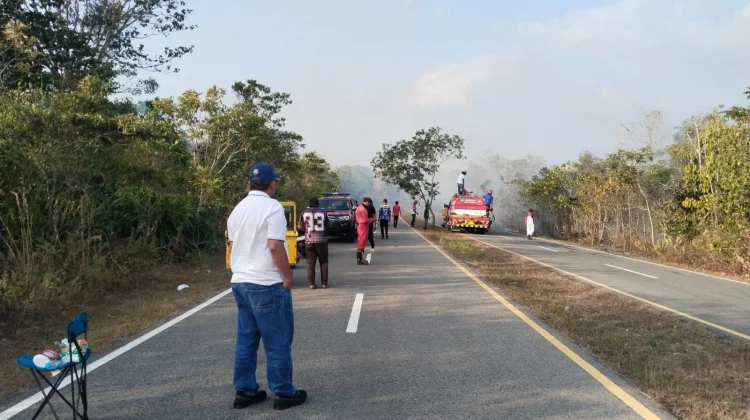 Bupati Thaher Turun Langsung Pantau Kebakaran Hutan di Dekat Bandara