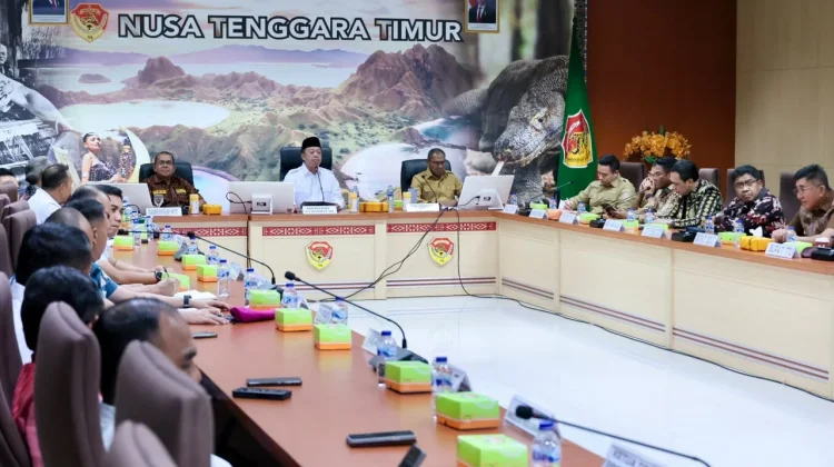 Menteri Nusron Dorong Pemda NTT Dukung Transformasi Layanan Pertanahan