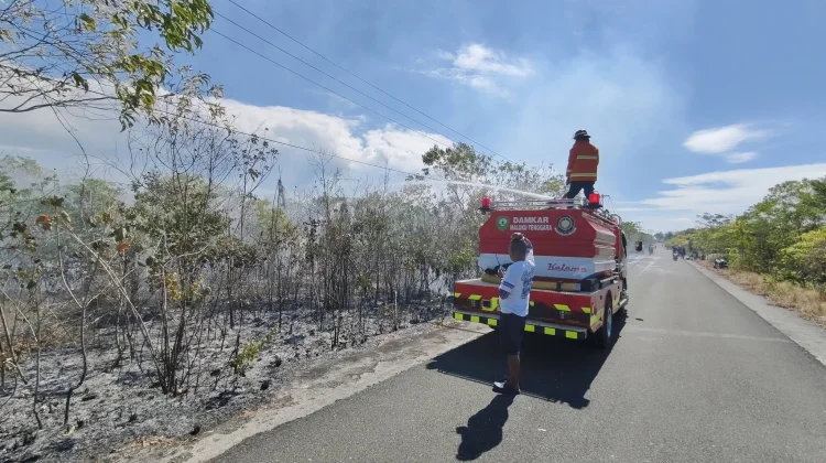 Karhutla Meningkat di Malra, Dinkes Waspadai Gangguan Pernapasan
