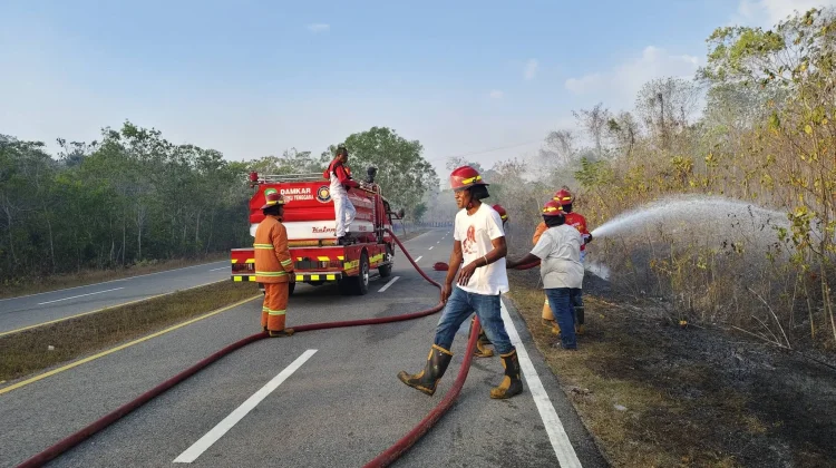 Damkar Malra Gencarkan Edukasi Cegah Karhutla hingga Tingkat Ohoi