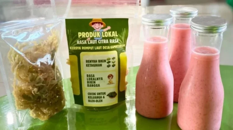 Keripik dan Jus Rumput Laut Kamatubun Siap Menembus Pasar