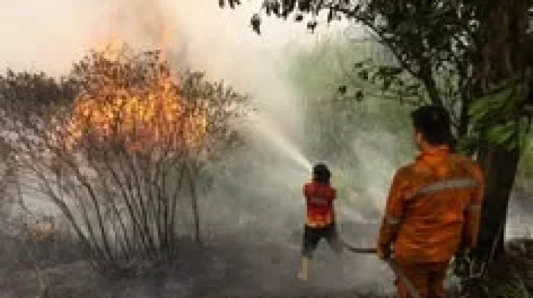 33 Titik Kebakaran di Maluku Tenggara, Kota Tual Relatif Aman