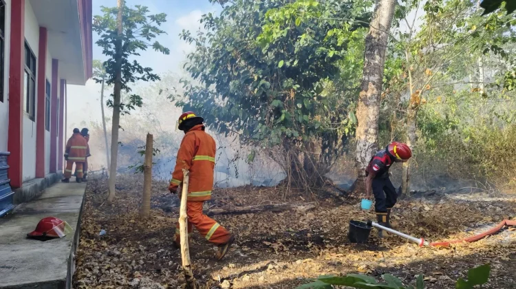 Kebakaran Hanguskan Bangunan SMP Muhammadiyah Wain dan Lahan Sekitar