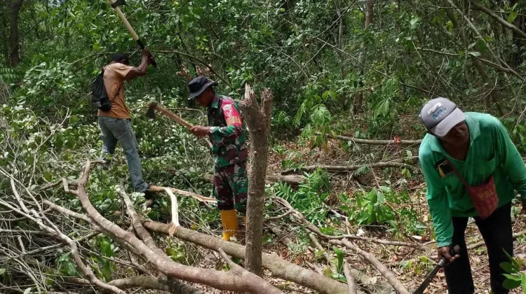 Babinsa Bersama Warga Tubyal Ambil Kayu untuk Pagar Kebun