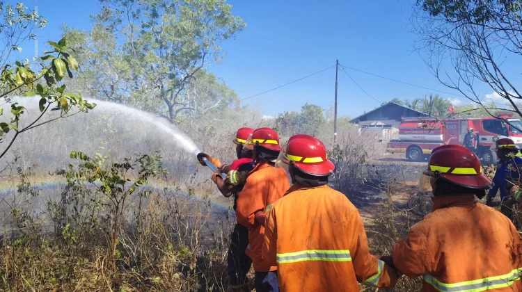 Kebakaran Lahan Jadi Perhatian Bidang Intelijen Kejari Malra