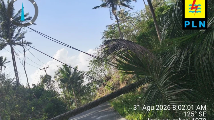 PLN Ungkap Penyebab Listrik Padam Sepekan di Kei Besar Selatan Barat