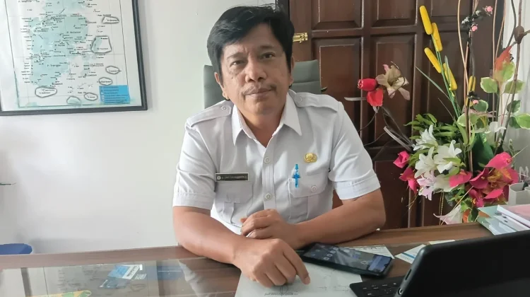 Pembayaran Insentif Nakes Terkendala Dinkes Targetkan Pembayaran Bertahap